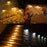 Decorative Solar Fence Lights