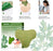 Pain Relief Vertebrace Patches